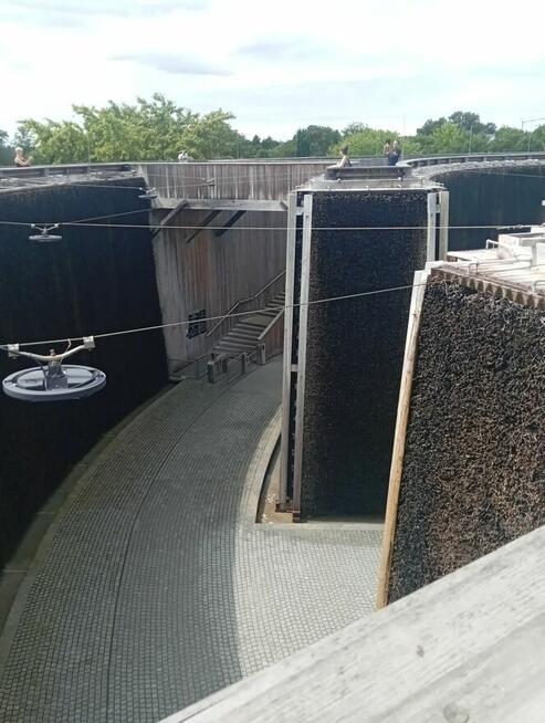 Matrymonialne zapoznanie zaprzyjaźnienie przyjaźń