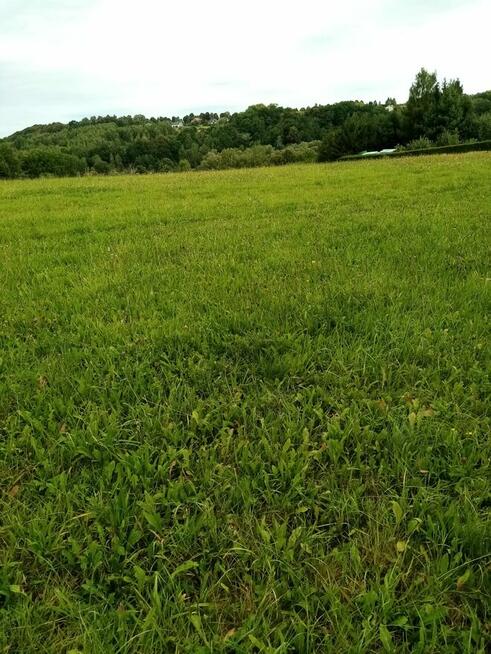 Sprzedam działkę rolną – 17 500 m² – Wieża k. Gryfowa Śl.