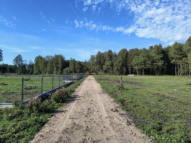 Na sprzedaż 6 dużych działek w Pilchach 150 m od jeziora Roś