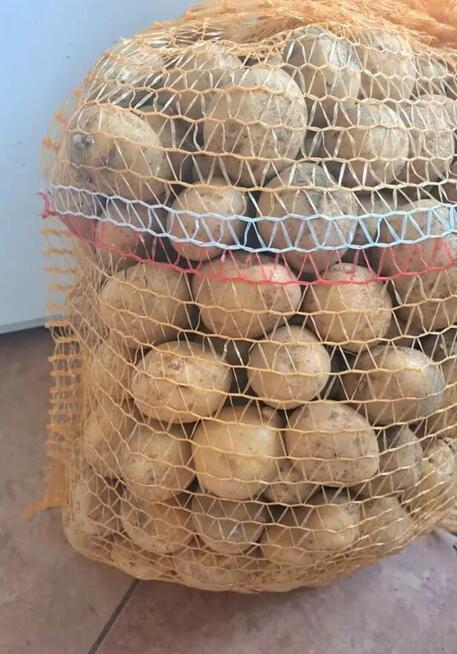 Ziemniaki jadalne GALA