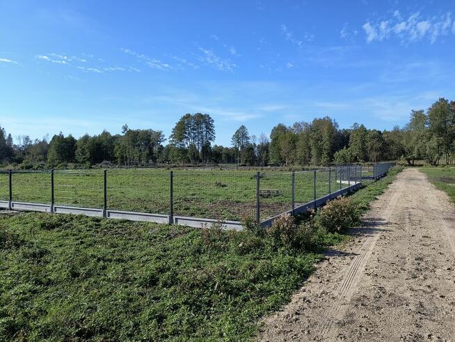 Na sprzedaż 6 dużych działek w Pilchach 150 m od jeziora Roś