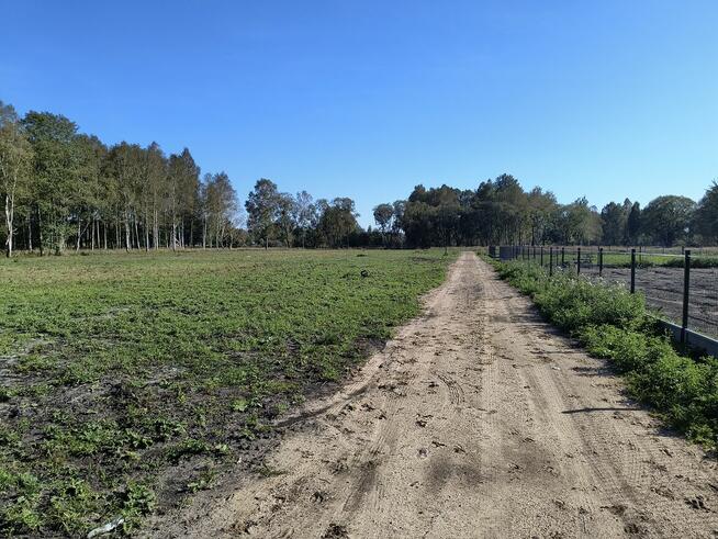 Na sprzedaż 6 dużych działek w Pilchach 150 m od jeziora Roś