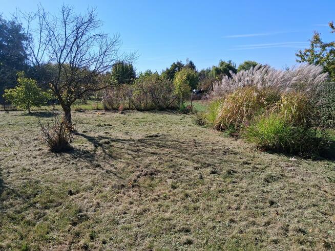 Sprzedam działkę rekreacyjną na Jagodnie