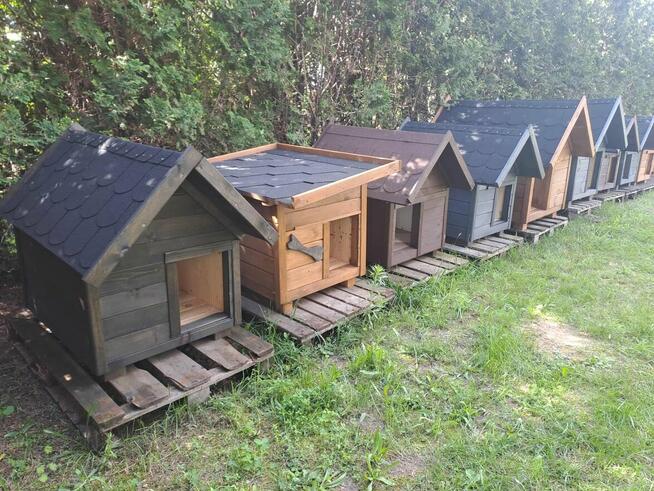 Budy dla twojego pupila duży wybór DOSTĘPNE OD RĘKI