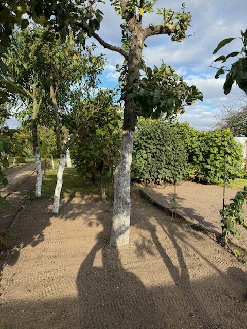 DZIAŁKA ROD - Sprzedam