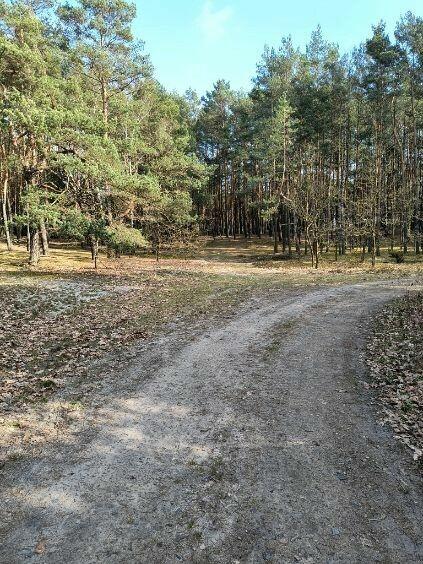 Syndyk sprzeda udział 2/5 w nieruchomości w Woli Duckiej