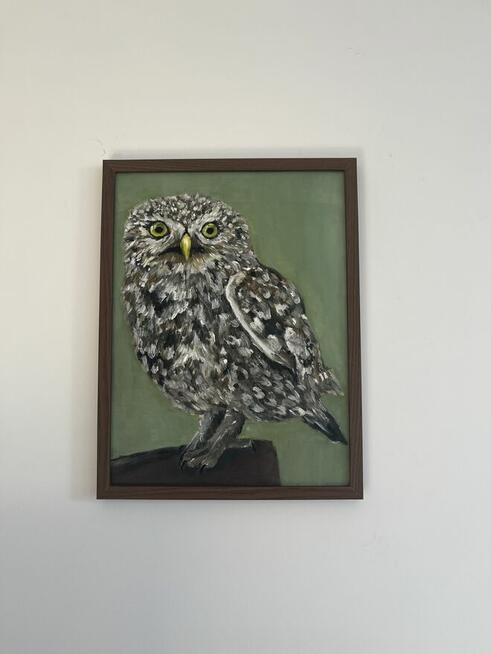 Obraz olejny „Sowie oko” 30*40 cm z ramą