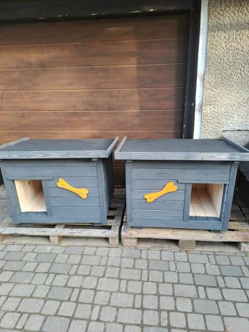 Budy dla piesków duży wybór DOSTĘPNE OD RĘKI