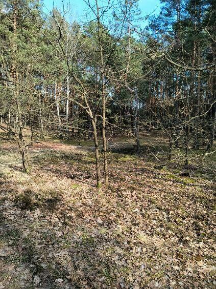 Syndyk sprzeda udział 2/5 w nieruchomości w Woli Duckiej