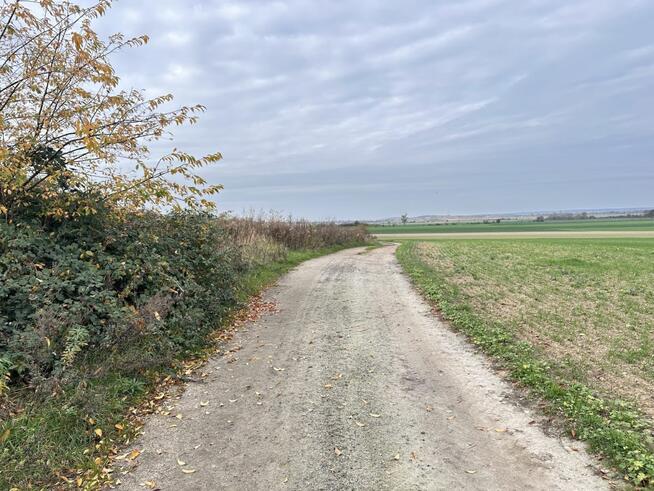 Działka budowlana Rosochata gm. Kunice,