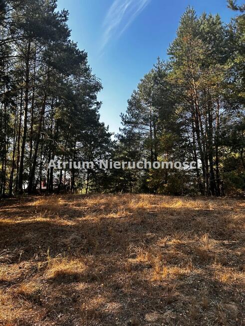 Działka Warząchewka gm. Włocławek