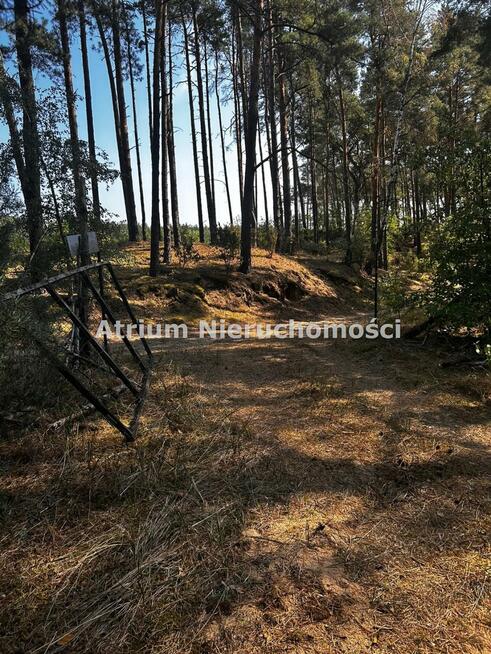 Działka Warząchewka gm. Włocławek