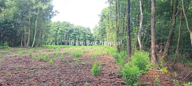 Działka budowlana Bratucice gm. Rzezawa