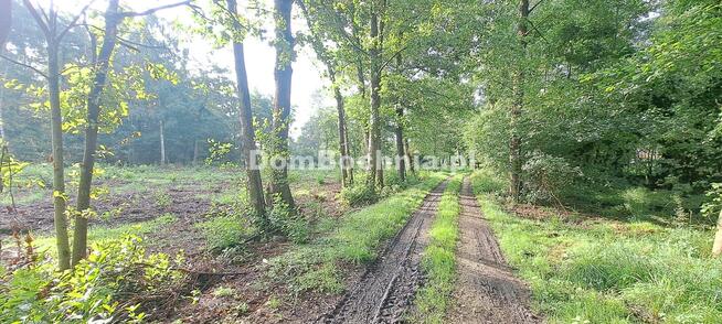 Działka budowlana Bratucice gm. Rzezawa