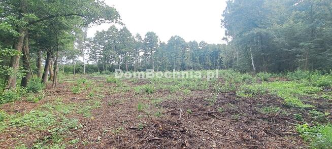 Działka budowlana Bratucice gm. Rzezawa