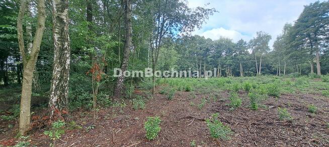 Działka budowlana Bratucice gm. Rzezawa