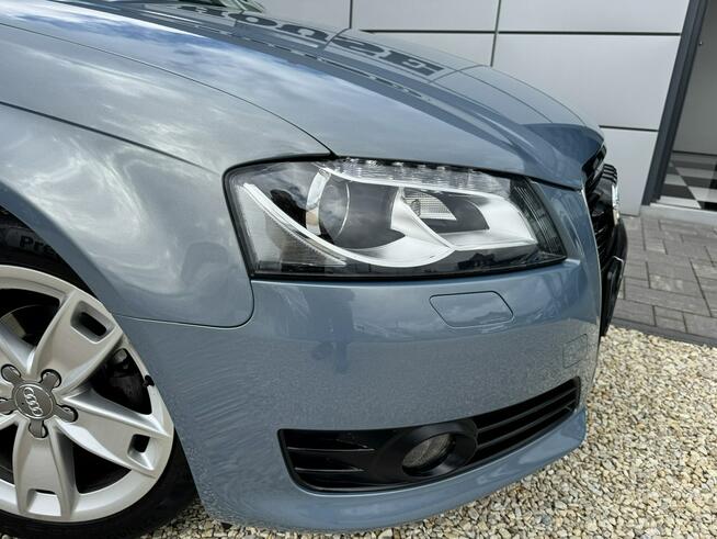 Audi A3 1.6 mpi xenon pełny serwis