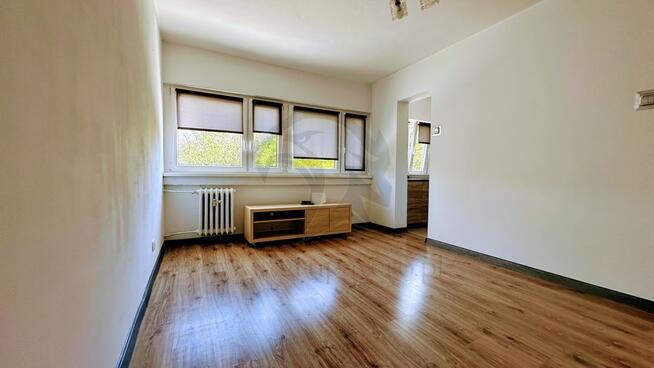 Szafirowy azyl w sercu miasta