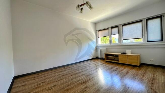 Szafirowy azyl w sercu miasta