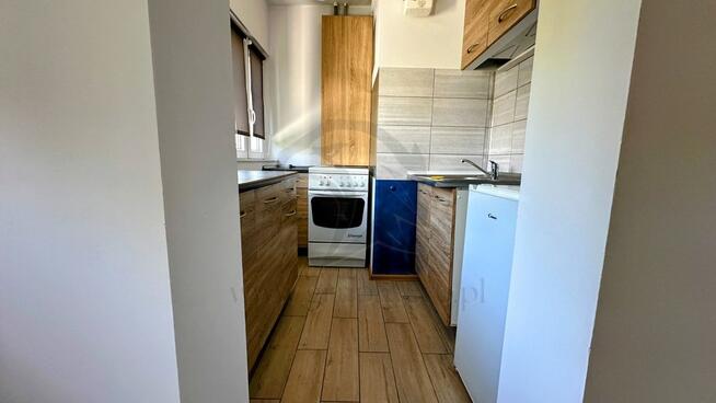 Szafirowy azyl w sercu miasta