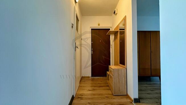 Szafirowy azyl w sercu miasta