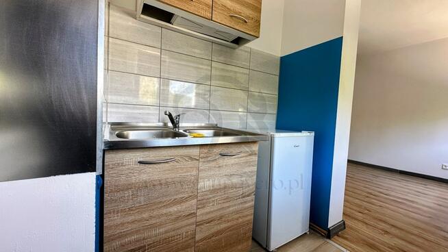 Szafirowy azyl w sercu miasta