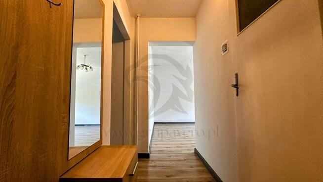 Szafirowy azyl w sercu miasta