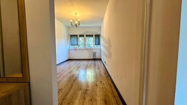 Szafirowy azyl w sercu miasta