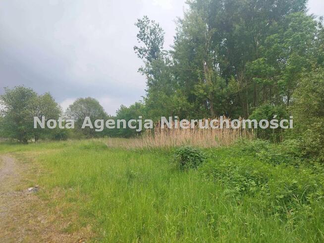 Lokal użytkowy Wałbrzych Biały Kamień