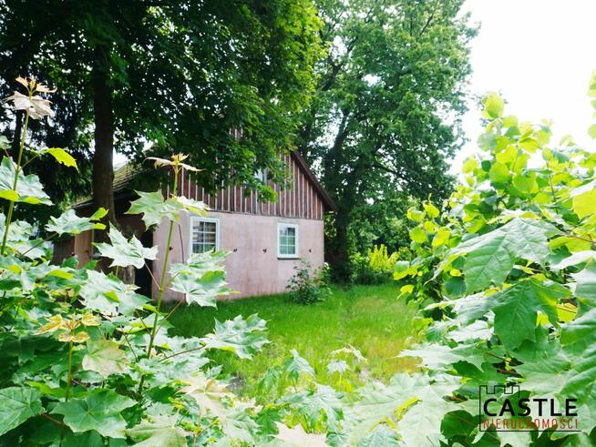 Działka inwestycyjna Stegna, Wąska