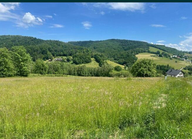 Działka budowlana Limanowa,