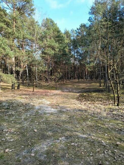 Syndyk sprzeda udział 2/5 w nieruchomości w Woli Duckiej