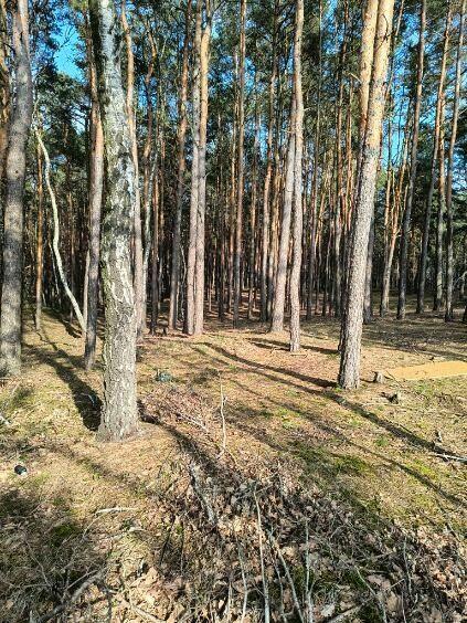 Syndyk sprzeda udział 2/5 w nieruchomości w Woli Duckiej