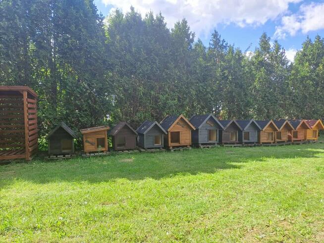 Budy dla twojego pupila duży wybór DOSTĘPNE OD RĘKI