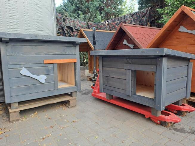 Budy dla piesków duży wybór DOSTĘPNE OD RĘKI