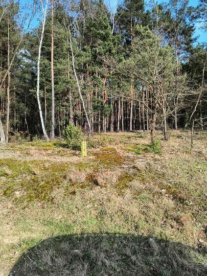 Syndyk sprzeda udział 2/5 w nieruchomości w Woli Duckiej