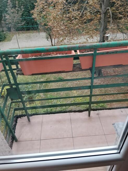 dwupokojowe w centrum