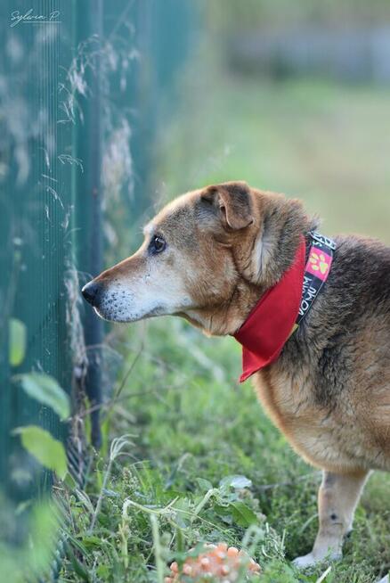 Axa - seniorka o złotym sercu