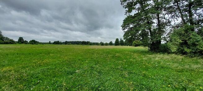 Syndyk sprzeda - Ponikiew Duża
