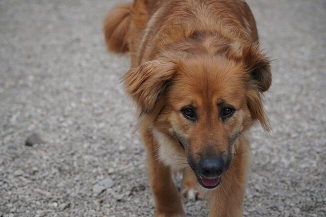Malaga - zamiast łańcucha, serce pełne czułości ️