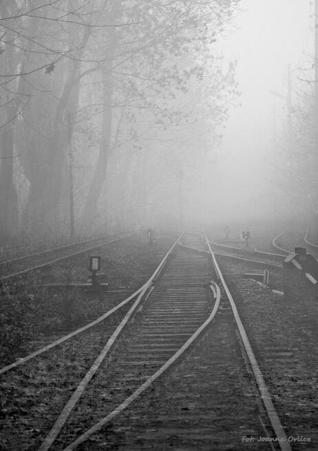 Ja, kobieta, 42 lata, szukam pracy