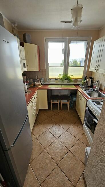 Sprzedam zadbane mieszkanie 47m2 Piła Śródmieście