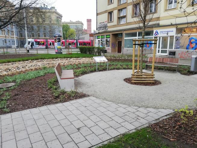 Od stycznia mieszkanie studenckie. Centrum