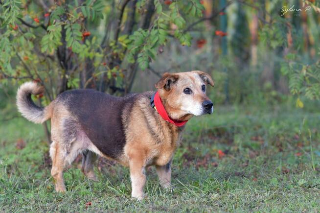 Axa - seniorka o złotym sercu