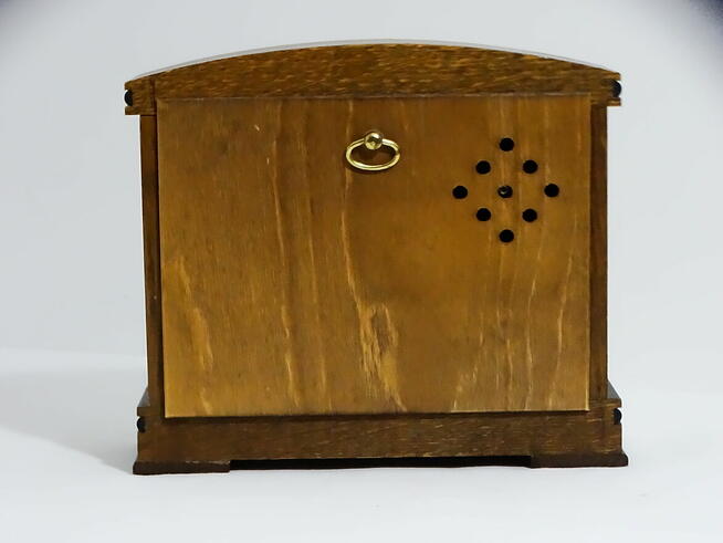 Elektroniczny zegar sterowany radiowo SINN ROCC-71E w kolorz