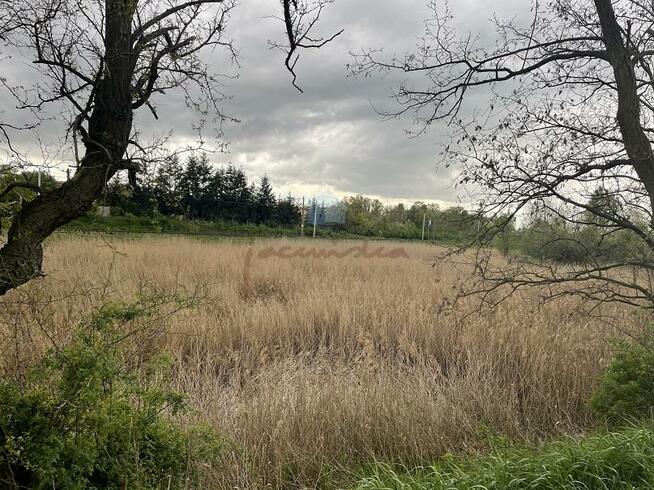 Działka inwestycyjna Gniezno Dalki, OFERTA ZAREZERWOWANA