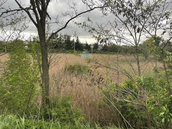 Działka inwestycyjna Gniezno Dalki, OFERTA ZAREZERWOWANA