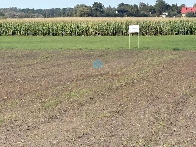 Działka inwestycyjna Łubowo Owieczki, Owieczki