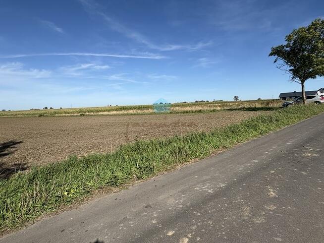 Działka inwestycyjna Łubowo Owieczki, Owieczki