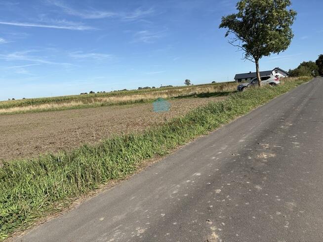 Działka inwestycyjna Łubowo Owieczki, Owieczki